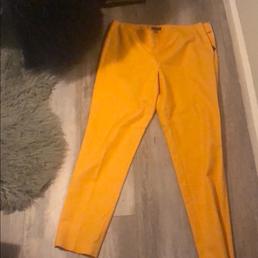 Vince  pencil pants size 8
